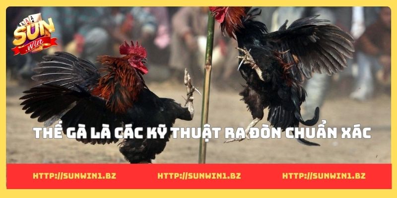 Thế gà là các kỹ thuật ra đòn chuẩn xác